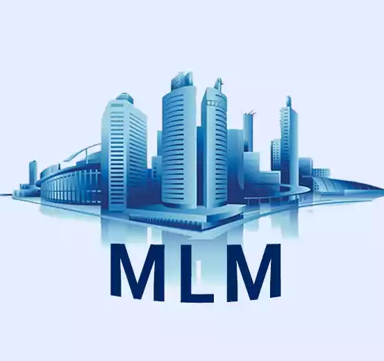 Earnings Distribution